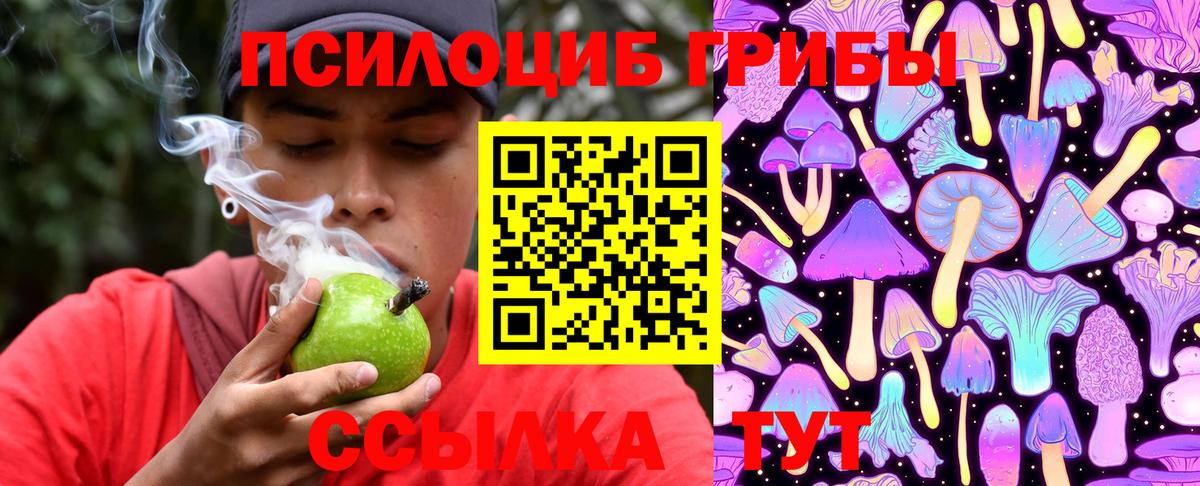 Псилоцибиновые грибы мухоморы Южноуральск