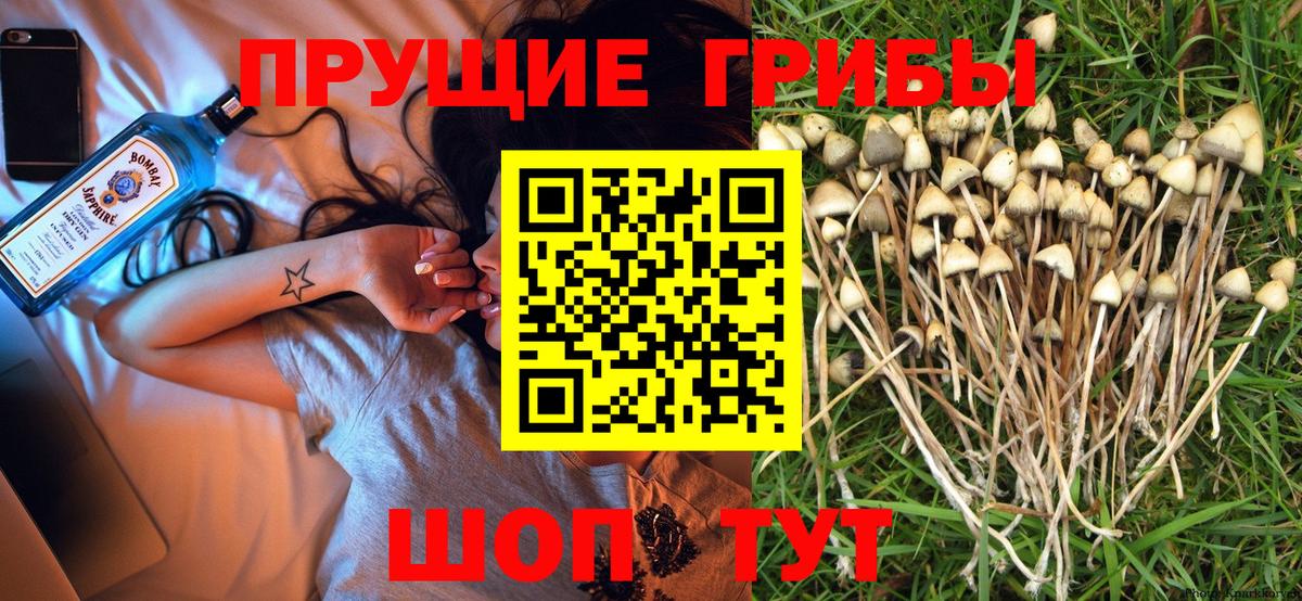 Южноуральск  Галлюциногенные грибы MAGIC MUSHROOMS  Галлюциногенные грибы Psilocybe  Вход с VPN 